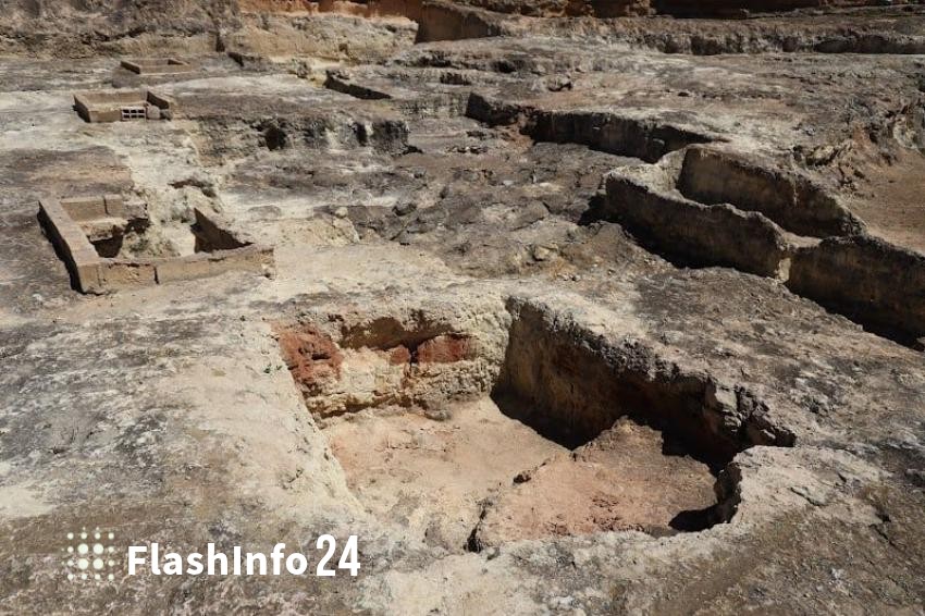 صورة المقال 1